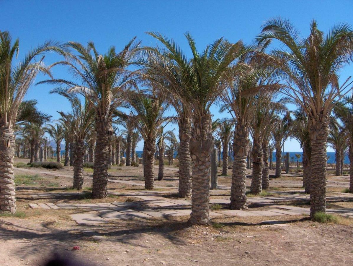 Golf Y Playa Junto Al Cabo De Gata Apartment Almeria Exterior photo